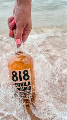 a person holding a bottle of liquor in the water at the edge of the beach