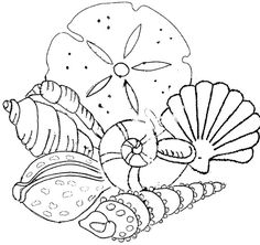 an image of seashells and shells coloring page