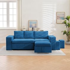 a living room with a blue sectional couch and potted plant on the floor in front of it