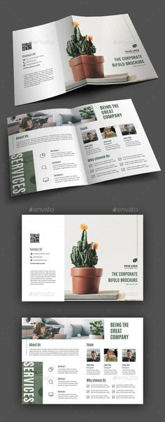 three fold brochure mockup with cactus in pot