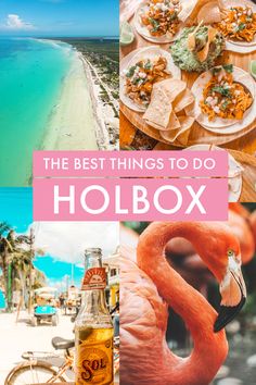 the best things to do in holboxx