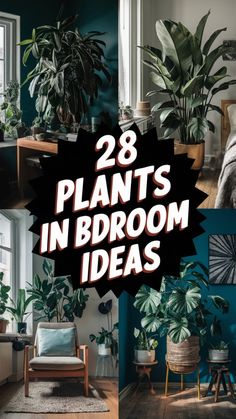 plants in bedroom with text overlay that reads 28 plants in bedroom ideas