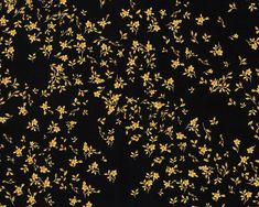 Floral Petite Textured Wallpaper in Black/Gold from the Versace IV Collection Gold Luxury Wallpaper, Wallpaper Backgrounds Black, Versace Home Decor, Satin Wallpaper, Black Floral Wallpaper, Gold And Black Wallpaper, Versace Wallpaper, Plain Black Wallpaper, Backgrounds Black