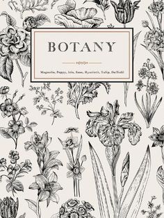 the front page of a magazine with an image of flowers and plants in black and white