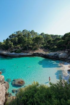 people are swimming in the clear blue water near some rocks and trees on the shore