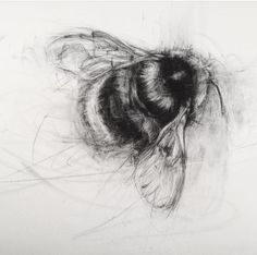 a black and white drawing of a bee