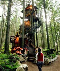 a person walking in front of a tree house with stairs leading up to it and the caption reads, on july 1st, 1960, the enchanned forest officials officially opened to the public