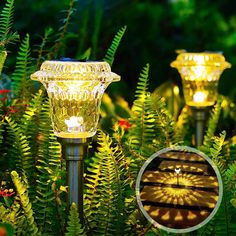 three solar powered lights in the middle of some plants and trees with flowers around them