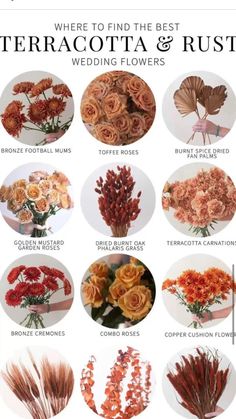 flowers and their names are shown in this graphic guide for the brides to be