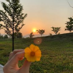 a person holding up a yellow flower in front of the sun setting over a field