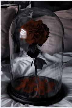 a red rose in a glass dome on a bed