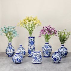 a group of vases with flowers in them on a table next to a wall