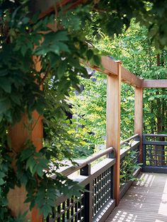 a wooden walkway surrounded by trees and greenery