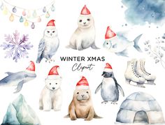 Arctic Seal, Branding Elements, Mask Designs, Png Graphics, Watercolor Animals, Christmas Animals