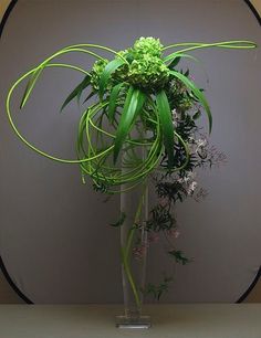 a vase filled with green plants on top of a table