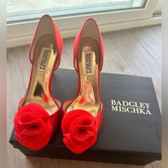 Badgley Mischka Red Satin Heels. Brand New, Never Worn. Size 6. Red Satin Heels, Silver Glitter Heels, Jeweled Heels, Badgley Mischka Shoes, Gold Pumps, Lace Heels, Glitter Heels, Satin Heels, White Pumps