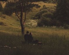 two people sitting under a tree in a field with grass and trees on the other side