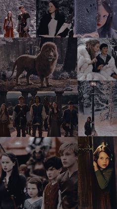 many different pictures of people and animals in the same photo, one has a lion on it