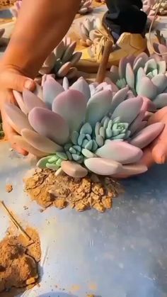 a person is holding a plant in their hand and it looks like they are making something out of clay