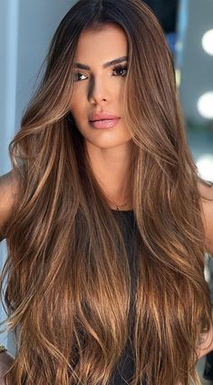 Hazelnut Hair Highlights, Hair Changes For Brunettes, Bronze Ombre Hair, Summer 2024 Hair Color Trends, Gold Brown Hair, Hazelnut Hair, Sophisticated Hair, Honey Hair Color, Golden Brown Hair