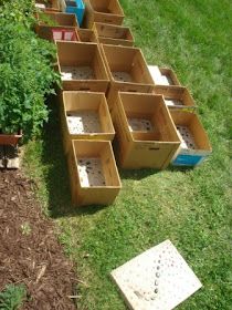 several wooden boxes with holes in them sitting on the ground next to some plants and dirt