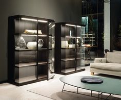 a living room filled with furniture and glass shelves