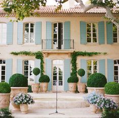 a large house with blue shutters and potted plants in front of the building