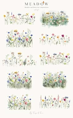 an image of flowers and plants drawn in watercolor on paper with the words meadow