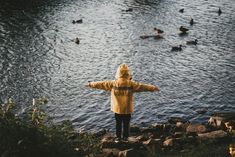 a person standing on the edge of a body of water with ducks in the background