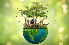 an image of animals that are on top of the earth with trees and butterflies around them