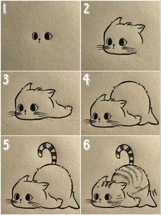 step by step instructions to draw a cat