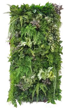 a vertical plant wall is shown with green leaves and other greenery on the side