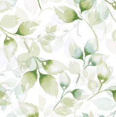 Watercolor Tossed Leaves Wallpaper in Green Ivy by Lillian August Lillian August, Inspiration From Nature, Green Ivy, Floral Tiles, Botanical Wallpaper, Color Story, Calming Colors, Watercolor Leaves, Leaf Wallpaper