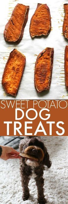 sweet potato dog treats are the perfect treat for dogs to eat and have fun with them