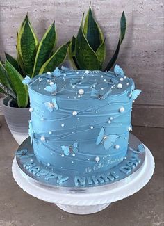 a blue frosted cake sitting on top of a plate next to a potted plant