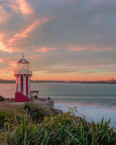 a red and white lighthouse sitting on top of a lush green hillside next to the ocean