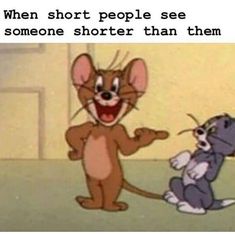 an image of a cartoon mouse and a rat with caption that reads, when short people see someone shorter than them