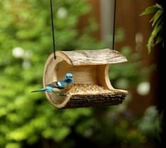 a blue bird is perched on a wooden bird feeder hanging from a tree branch outside