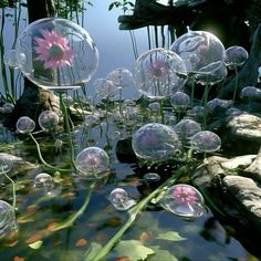 many bubbles floating on top of water next to rocks and plants with pink flowers in them