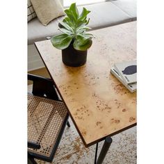 a table with a potted plant sitting on top of it