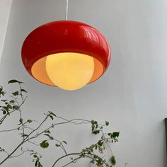 a red light hanging from the ceiling next to a potted plant with green leaves