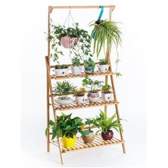 a bamboo plant stand with potted plants on it