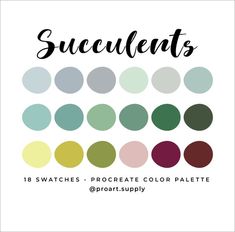 the swatches and color palettes for succulents