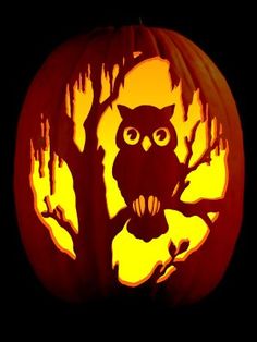 a carved pumpkin with an owl on it