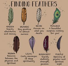 Feather Color Meaning, Finding Feathers, Feather Meaning, Mythology Creatures, Witch Things, Animal Spirit Guides, Life Affirmations, Wiccan Magic, Unique Meaning