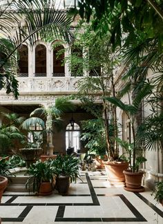 an indoor courtyard with potted plants and large windows