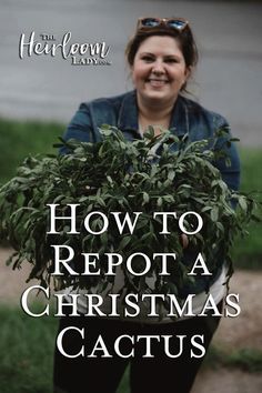 a woman holding a potted plant with the words how to repot a christmas cactus