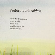 an image of a book cover with the title verdrett is drie soleken