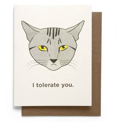 a card with a cat's face and the words i tolerate you