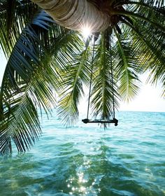 the sun shines through some palm trees over the blue water in this tropical scene